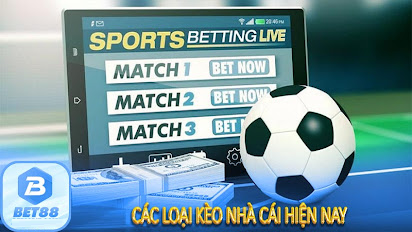 Các loại kèo tại nhà cái bet88